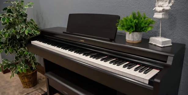 Đánh giá Yamaha YDP-165 & YDP-S55